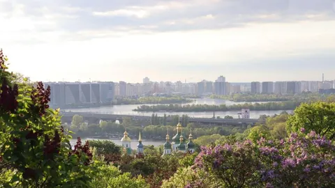 Переселенці з Луганщини зможуть отримати консультації Пенсійного фонду в Києві