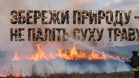 Спалювання сухостою на Луганщині: ризик вибуху боєприпасів і втрати житла