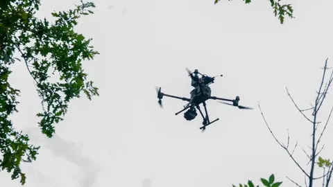 На Луганщині війська РФ били по позиціях ЗСУ реактивною артилерією та дронами