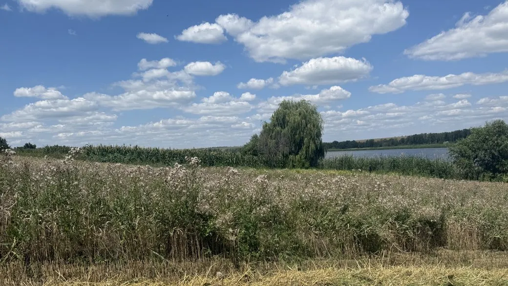 2 вересня на Луганщині буде сухо й спекотно: прогноз погоди