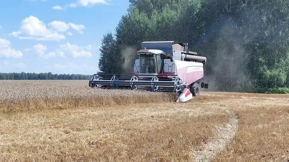 На окупованій Луганщині під загрозою збір врожаю та посівна — ОВА