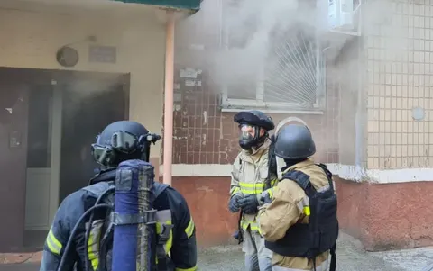 Шість пожеж за добу на Донеччині: горіли сухостій та наслідки атаки дронів у Кра